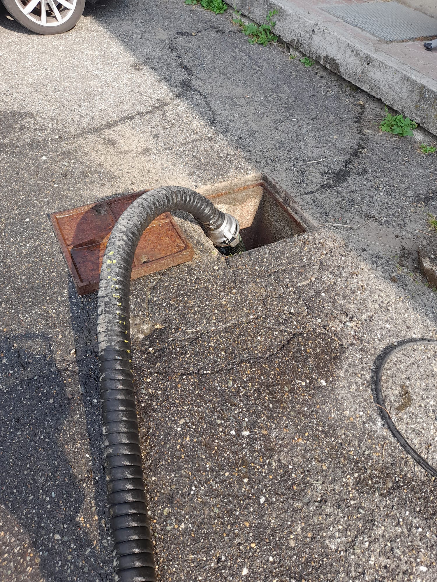 cirie-spurghi-tempo- torino-fosse biologiche(26)